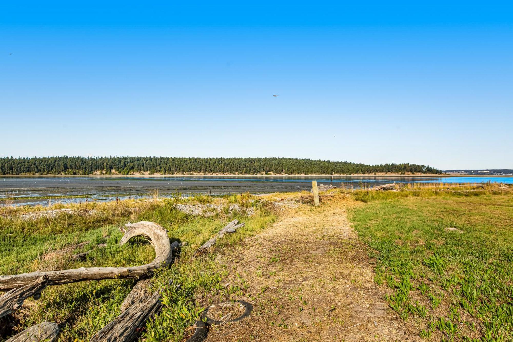 Marrowstone Island Beach Cabin Buitenkant foto