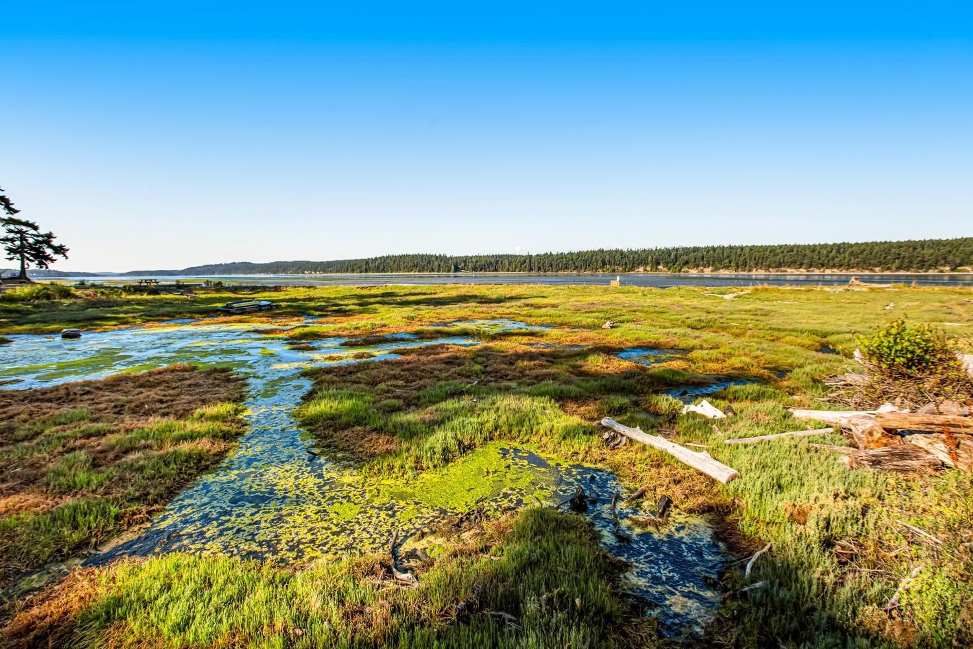 Marrowstone Island Beach Cabin Buitenkant foto