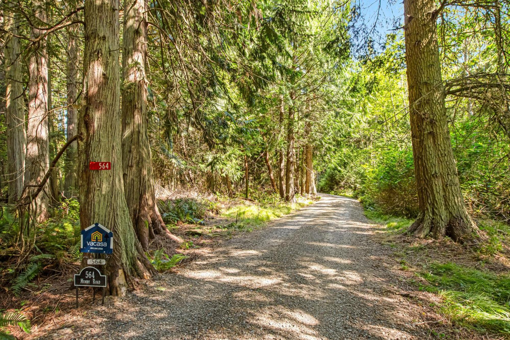 Marrowstone Island Beach Cabin Buitenkant foto